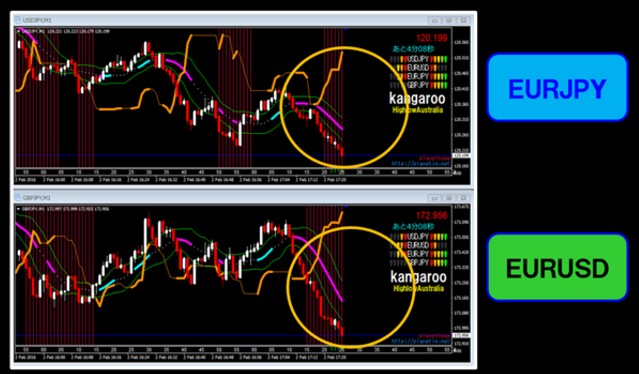 kangaroo-eurusd