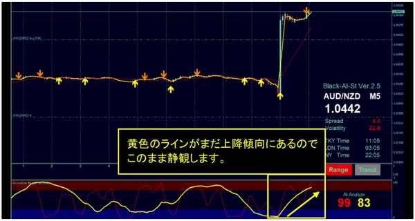 ブラックaiストラテジーfx ランチタイムのトレード動画 自動決済 Fx情報商材トレーダー 検証レビューサイト