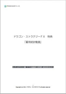 dragon-fx-tokuten-pdf2