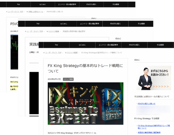 FX King strategy 会員サイトページ